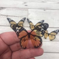 Butterfly wings - yellow and black acetate butterfly wings