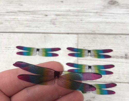 Dragonfly wings for needle felting and craft projects. 6 pairs of acetate insect wings rainbow wings