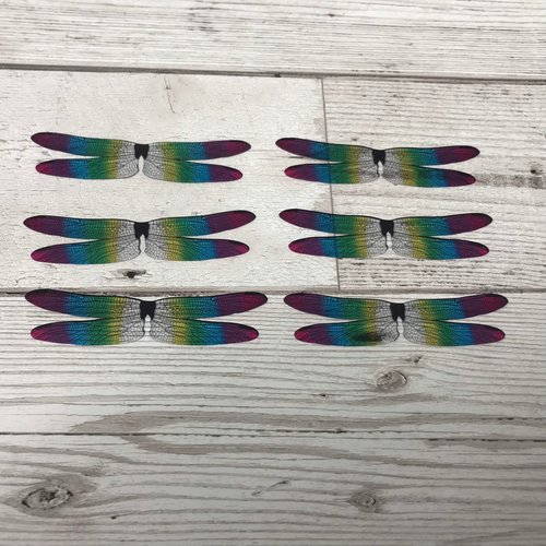 Dragonfly wings for needle felting and craft projects. 6 pairs of acetate insect wings rainbow wings