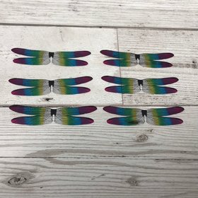 Dragonfly wings for needle felting and craft projects. 6 pairs of acetate insect wings rainbow wings